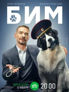БИМ российский сериал